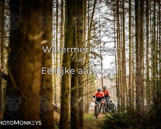Drenthe 200 Extreme Marathon photo
