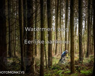 Drenthe 200 Extreme Marathon photo