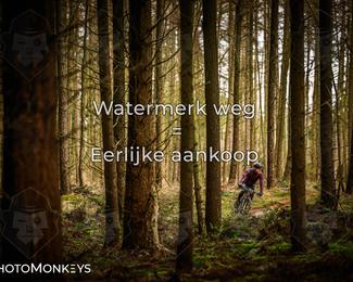 Drenthe 200 Extreme Marathon photo