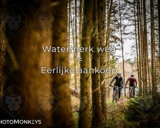 Drenthe 200 Extreme Marathon photo