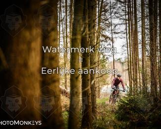 Drenthe 200 Extreme Marathon photo