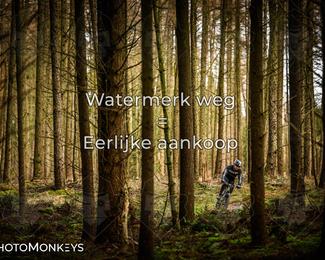 Drenthe 200 Extreme Marathon photo