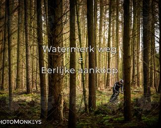 Drenthe 200 Extreme Marathon photo