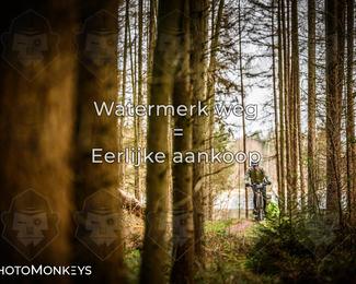 Drenthe 200 Extreme Marathon photo