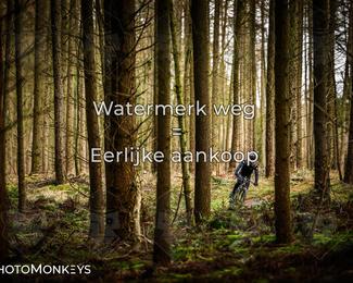 Drenthe 200 Extreme Marathon photo