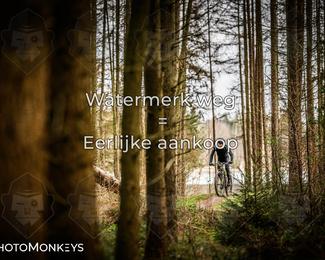 Drenthe 200 Extreme Marathon photo