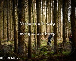 Drenthe 200 Extreme Marathon photo