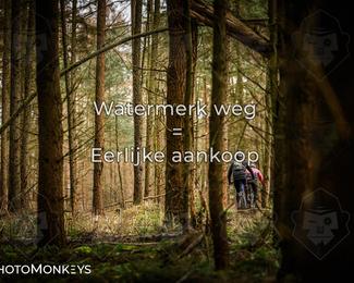 Drenthe 200 Extreme Marathon photo