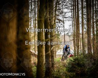 Drenthe 200 Extreme Marathon photo