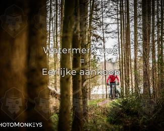 Drenthe 200 Extreme Marathon photo