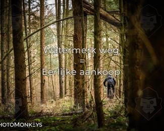 Drenthe 200 Extreme Marathon photo