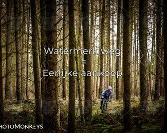 Drenthe 200 Extreme Marathon photo