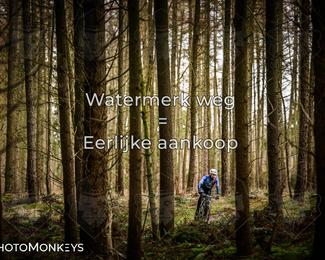 Drenthe 200 Extreme Marathon photo