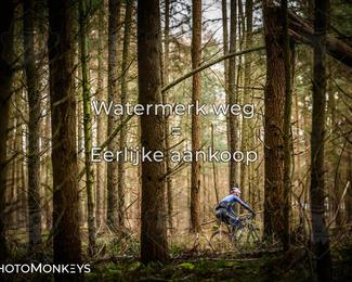 Drenthe 200 Extreme Marathon photo