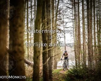 Drenthe 200 Extreme Marathon photo