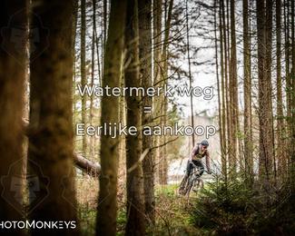 Drenthe 200 Extreme Marathon photo