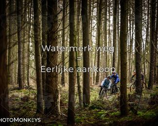 Drenthe 200 Extreme Marathon photo