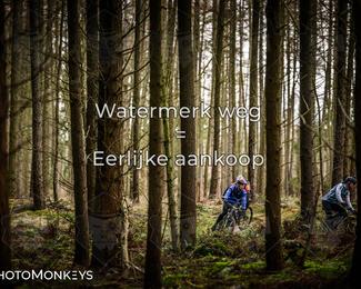 Drenthe 200 Extreme Marathon photo