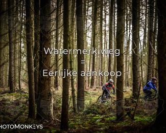 Drenthe 200 Extreme Marathon photo