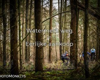 Drenthe 200 Extreme Marathon photo