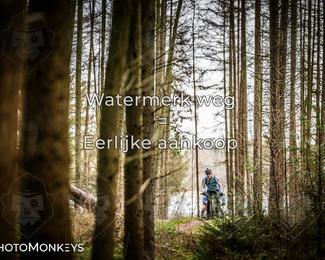 Drenthe 200 Extreme Marathon photo