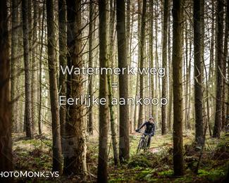 Drenthe 200 Extreme Marathon photo