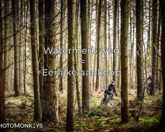 Drenthe 200 Extreme Marathon photo