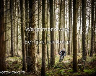 Drenthe 200 Extreme Marathon photo