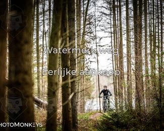 Drenthe 200 Extreme Marathon photo