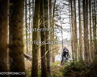 Drenthe 200 Extreme Marathon photo