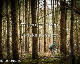 Drenthe 200 Extreme Marathon photo