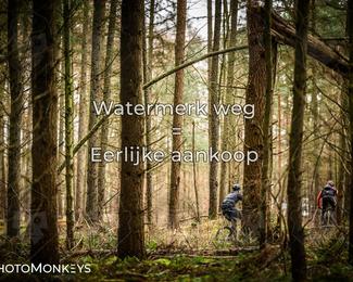 Drenthe 200 Extreme Marathon photo