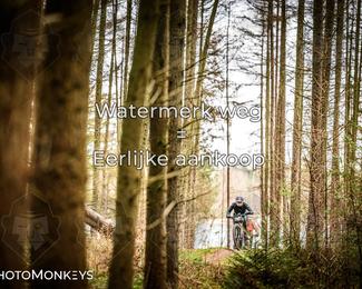 Drenthe 200 Extreme Marathon photo