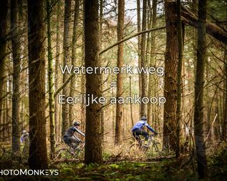 Drenthe 200 Extreme Marathon photo