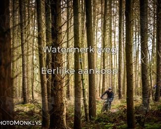 Drenthe 200 Extreme Marathon photo