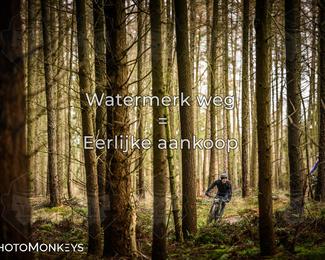 Drenthe 200 Extreme Marathon photo