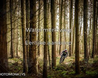 Drenthe 200 Extreme Marathon photo