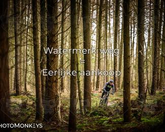 Drenthe 200 Extreme Marathon photo