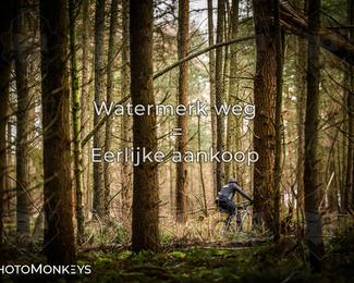 Drenthe 200 Extreme Marathon photo