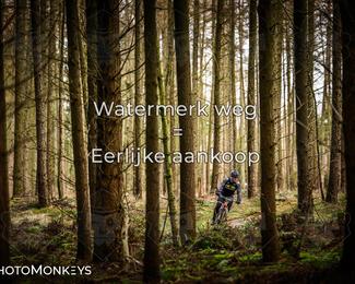 Drenthe 200 Extreme Marathon photo