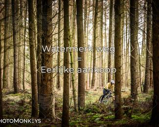 Drenthe 200 Extreme Marathon photo