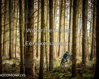 Drenthe 200 Extreme Marathon photo