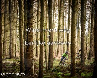 Drenthe 200 Extreme Marathon photo