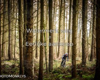 Drenthe 200 Extreme Marathon photo