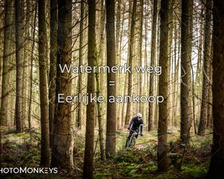 Drenthe 200 Extreme Marathon photo