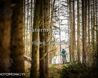 Drenthe 200 Extreme Marathon photo