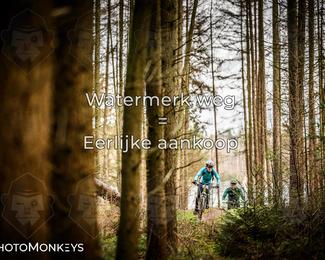 Drenthe 200 Extreme Marathon photo