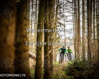 Drenthe 200 Extreme Marathon photo