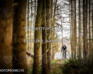 Drenthe 200 Extreme Marathon photo