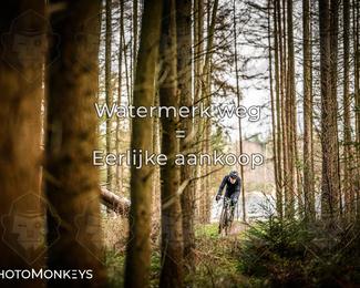 Drenthe 200 Extreme Marathon photo